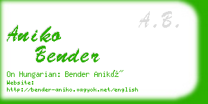 aniko bender business card